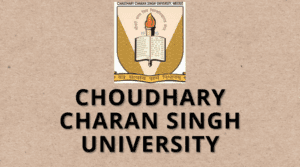 CCs University Meerut