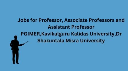 jobs for professor,associate professor and assistant professor