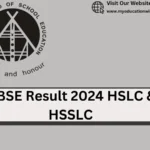 NBSE Result 2024 HSLC & HSSLC Download your scorecard