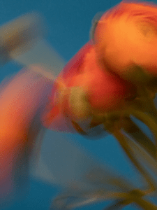 webstory