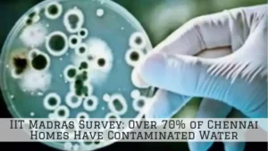 IIT Madras Survey