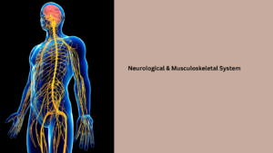 Neurological & Musculoskeletal System