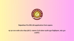 Rajasthan Pre DEL.Ed application form opens