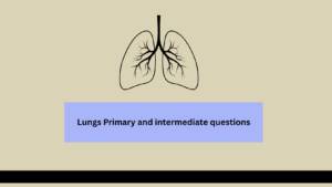 Lungs Primary and intermediate questions