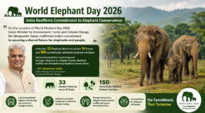 World Elephant Day 2026